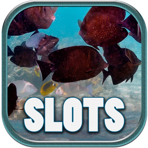 Royal Fish Casino Slots - FREE Gambling World Series Tournament icon