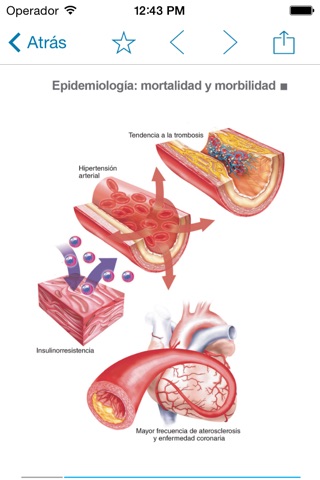 Metabolic syndrome screenshot 3