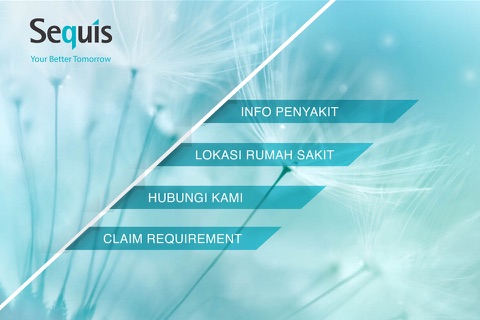 SequisApps screenshot 2