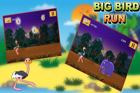 Big Bird Run - Ostrich's Crazy Jungle Splash (Free Game) screenshot 2