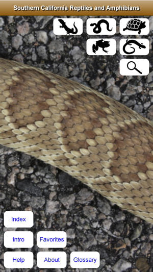 ‎Southern California Reptiles and Amphibians on the App Store