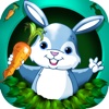 A Fun Forrest Bunny Bounce - Magical Pet Jump Challenge