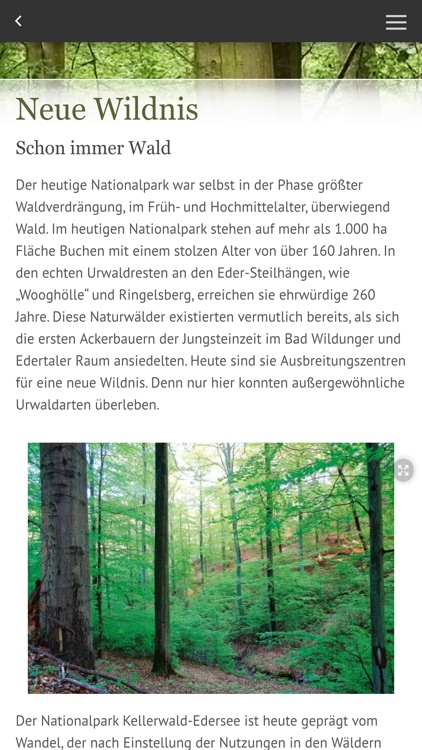 Nationalpark Kellerwald-Edersee