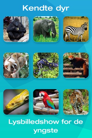 Safari and Jungle Animal Picture Flashcards for Babies, Toddlers or Preschool screenshot 2