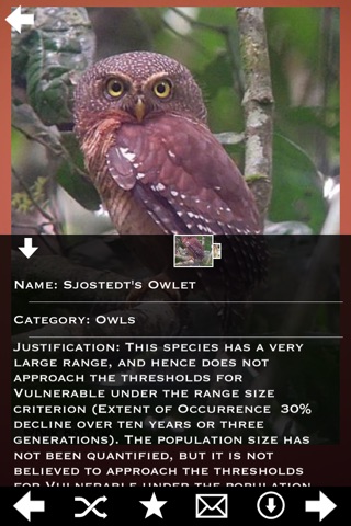 Owls Encyclopedia Pro screenshot 2