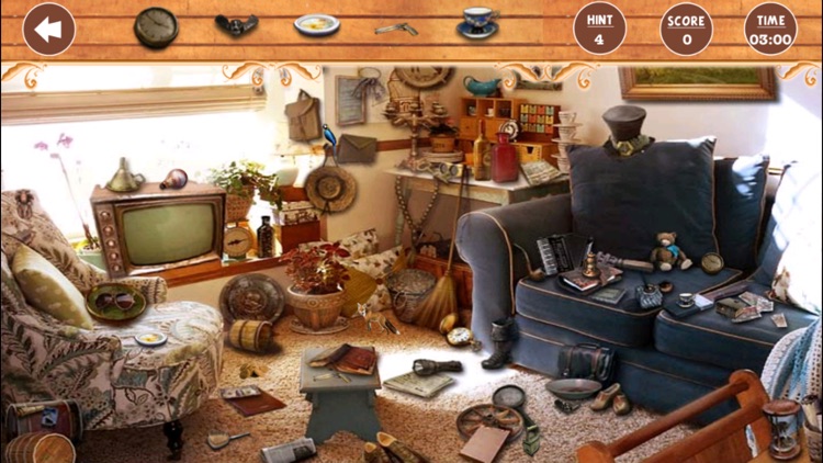 Dark Heritage Around The Home Hidden Object screenshot-4