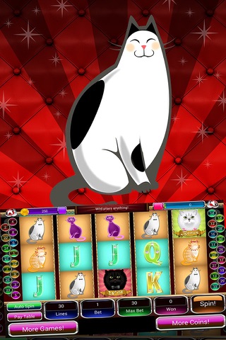 -777- Socialite Kitten Slots screenshot 2