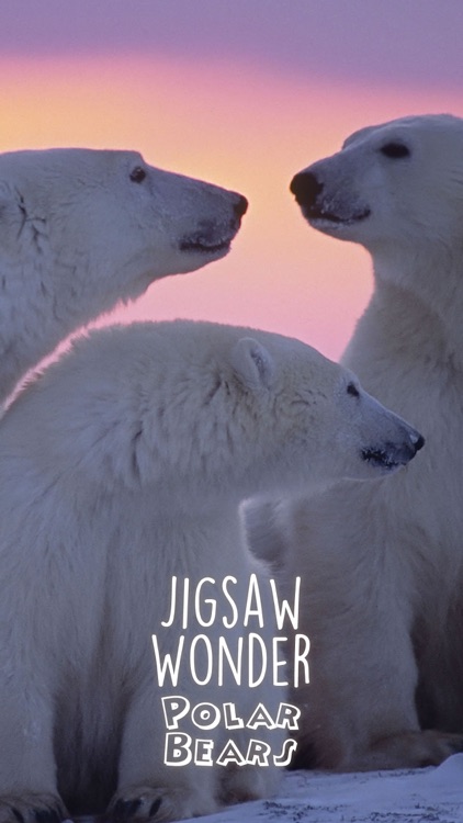 Jigsaw Wonder Polar Bears for Kids