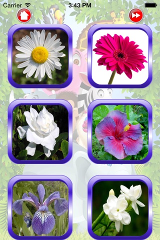 Flower For Kid - Educate Your Child To Learn English In A Different Way screenshot 3