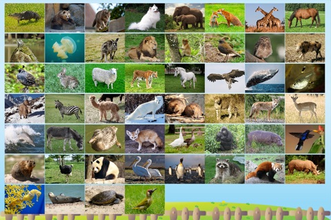 ABC Alphabet Animal Flashcards Write screenshot 2