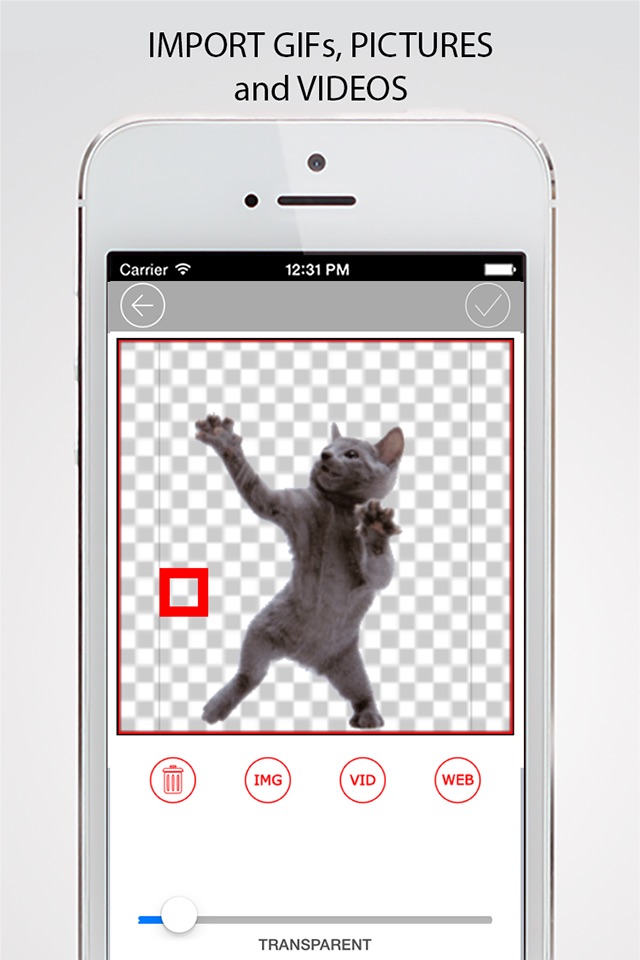 Gif Monkey - Make or Edit Funny Animated GIFs from Video screenshot 3