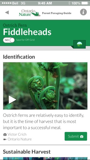 Ontario Nature Forest Foraging Guide(圖4)-速報App