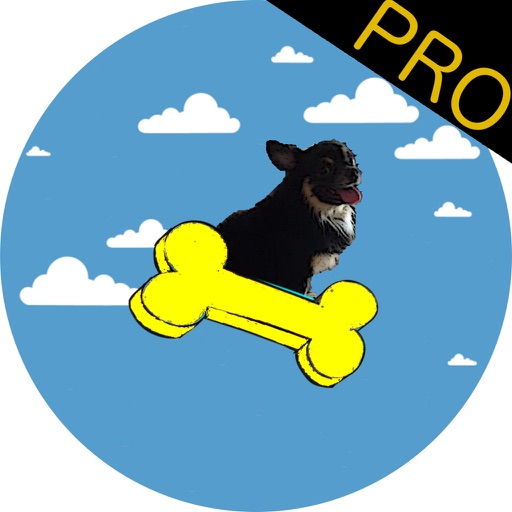 Kidlat Jump Pro Icon