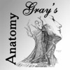 Gray's Anatomy 2014 - iPadアプリ