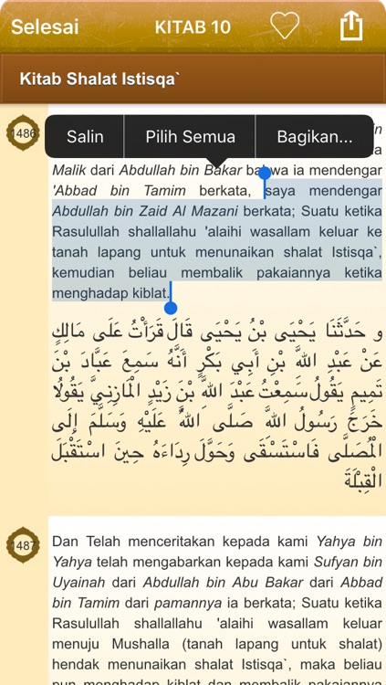 Sahih Muslim in Indonesian Bahasa and in Arabic (Lite) - + 5300 Hadiths - صحيح مسلم