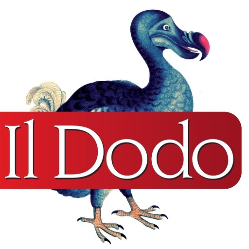 Il Dodo Restaurant