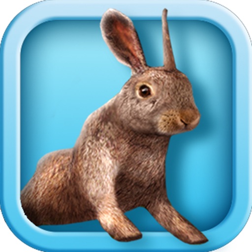 Bunny Simulator icon