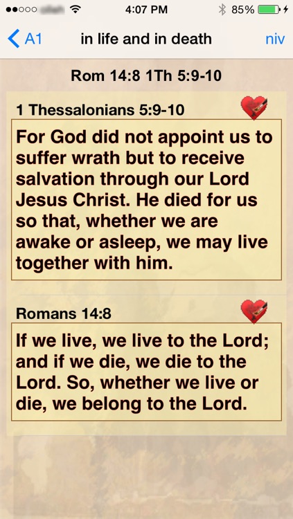 The Heidelberg Catechism screenshot-4