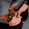 Violin for Beginners - Learn to Play The Violin