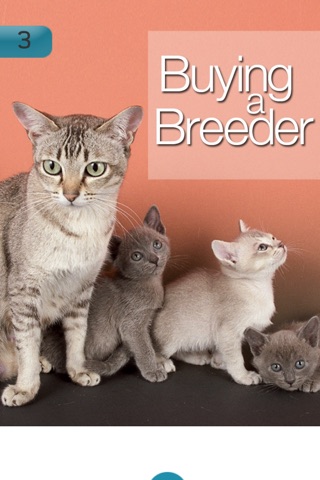 Cat Breeding For Beginners screenshot 3