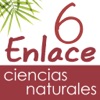 Vector Z | Enlace Ciencias Naturales 6 Vector Z | Enlace Ciencias Naturales 6