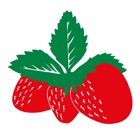 Böckmann Erdbeeren