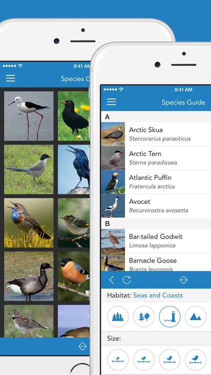 iKnow Birds 2 PRO - The Field Guide to the Birds of Europe