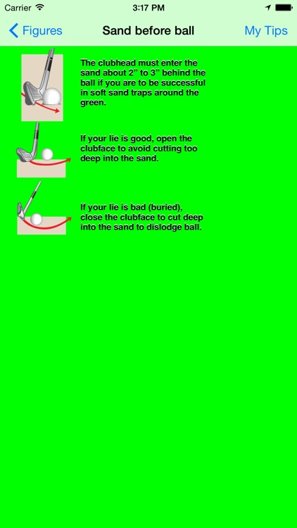 Lady Golfmaster screenshot-3
