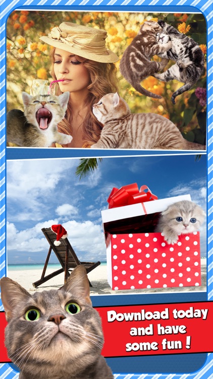 InstaKitty - A Funny Picture Editor with Cute Cats and Kitties Stickers screenshot-4