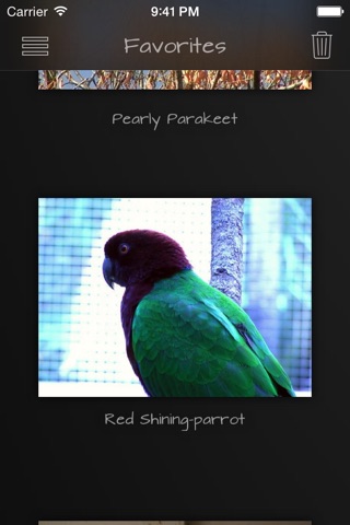 Parrots Pedia screenshot 3