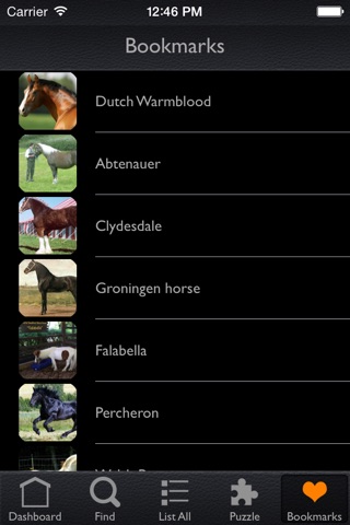 Horses Collection screenshot 4
