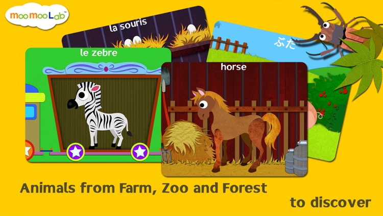 Animal World - Peekaboo Play & Learn for Baby, Toddler and Preschool Kids Full Version