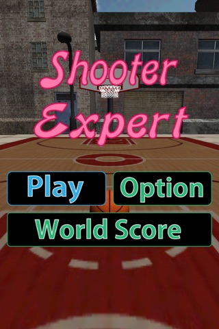 3D Sharpshooter For Basketball screenshot 2