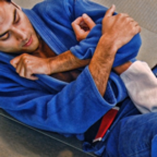 Brazilian Jiu Jitsu: Blue Belt Requirements iOS App