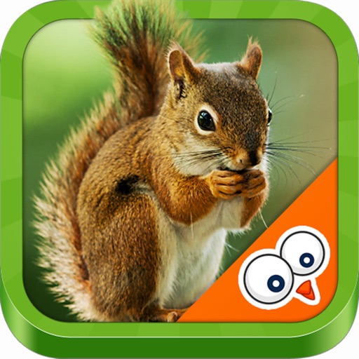 Learn about animals iOS App