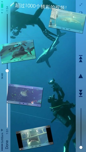 鯊魚潛水 - Shark Diving(圖2)-速報App