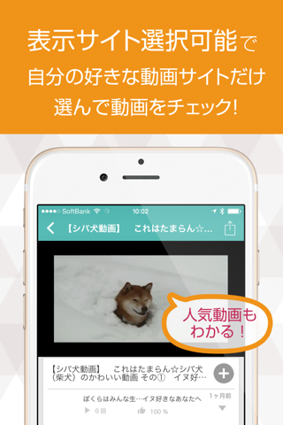 いぬ犬動画まとめ DOG TUBE screenshot 2