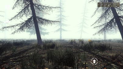 Slender Man Dark Forest screenshot 5