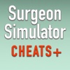 Cheats + Walkthrough for Surgeon Simulator