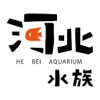 河北水族商城