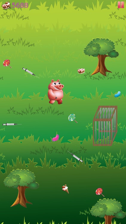 Hungry Panda and Animal Friends Run - How many Lollipop and Jellybeans can you find on the way?