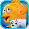 21 A Goldfish Blackjack Casino Card Live Pro