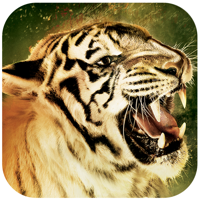 Roar - Song  Video