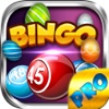 Easter BINGO PRO - Play Online Casino and the Game of Chance for FREE !