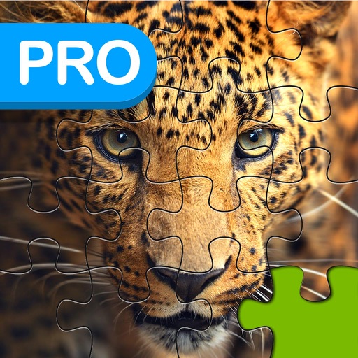 Big Cats Puzzle Pro - Forge The Jigsaw From Unscrambled Pieces Icon