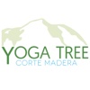 Yoga Tree Corte Madera