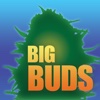 Big BUDS