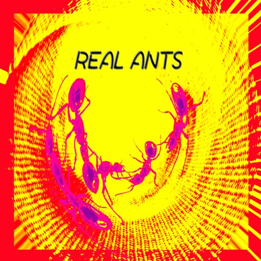 REAL ANTS iOS App