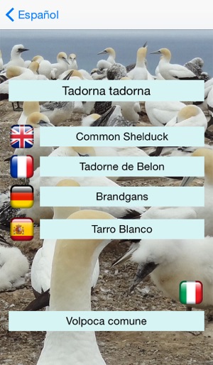 EuropaBirds - the names of 842 species in 6 languages(圖3)-速報App