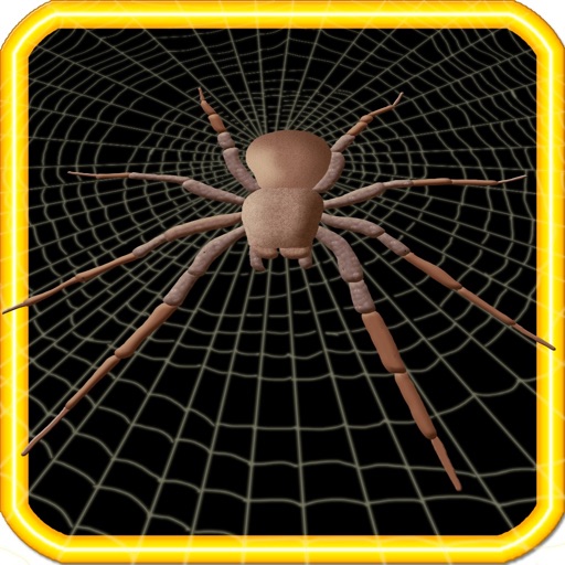 3D Spider Catch - Challange Your Speed Skills icon